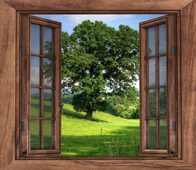 okno do přírody