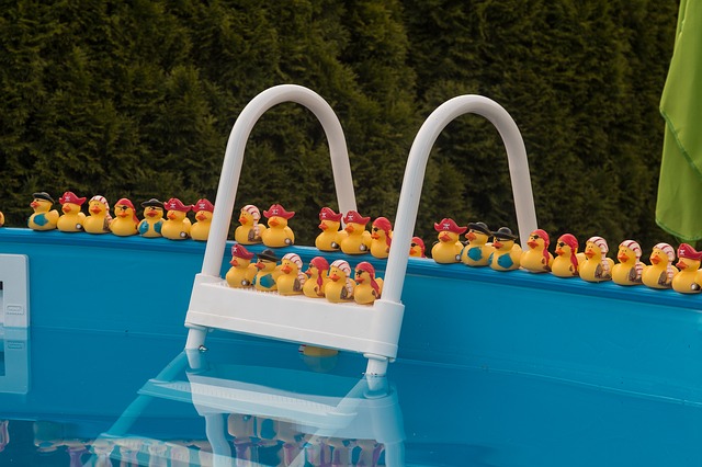 kachničky v bazénu